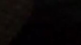 Pongo en 4 a mi perra y le doy duro