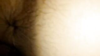 Behåret røv tv-vært