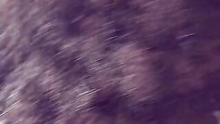 Petite Afro Latina giving head close up