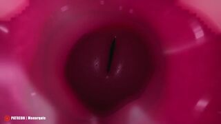 Internal Insemination