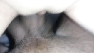 safada sendo fodida com força gemeu e pediu para receber gozada na bucetinha.