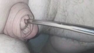 Inserting electro-sound into my huge flaccid cock.. moaning with pleasure