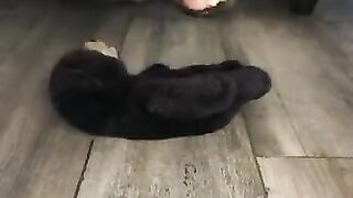 Dominant Feet Crush Fetish